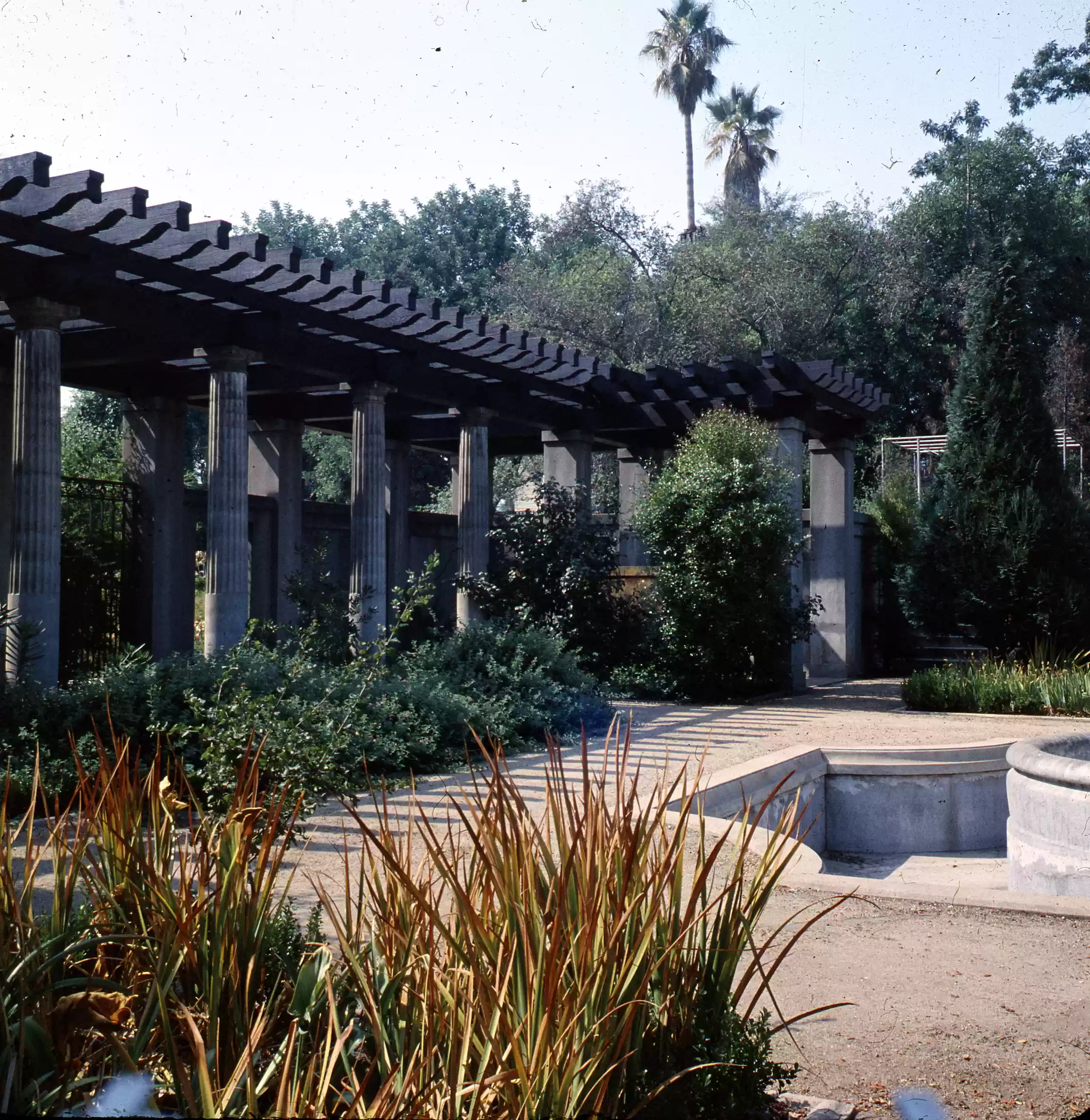 Sunken Gardens in back of Ambassador Hall Pasadena Campus_0006